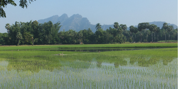 Hpa-An-rijstvelden-Myanmar-Birma