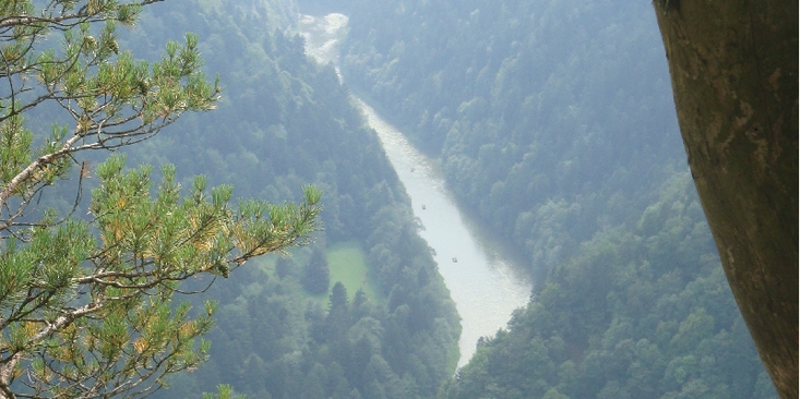 Dunajec-kloof-vallei-rivier-berg-Pieniny-Nationaal-Park-bos-Polen