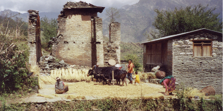 Annapurna-graan-trekking-bergen-Nepal-Himalaya