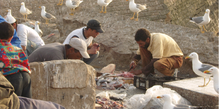 Essouira-Marokko-vis-snijden-meeuwen-Portugese-kolonie-stadsmuren