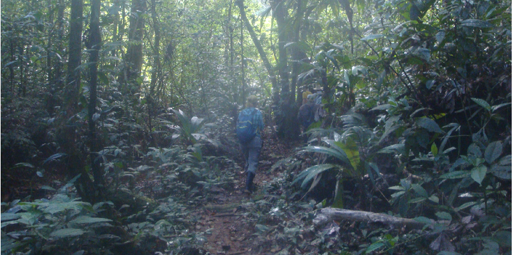 Indio-Maiz-National-Park-Nicaragua-jungle-hike