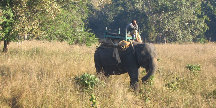 Kanha-National-Park-Tiger-Reserve-India-Elephant