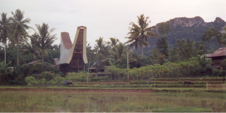 Tana-Toraja-Sulawesi-Indonesië-Rantepao-traditioneel-huizen