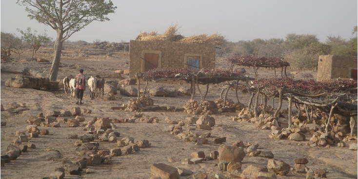 Dogon-land-stenen-Tirelli-Mali