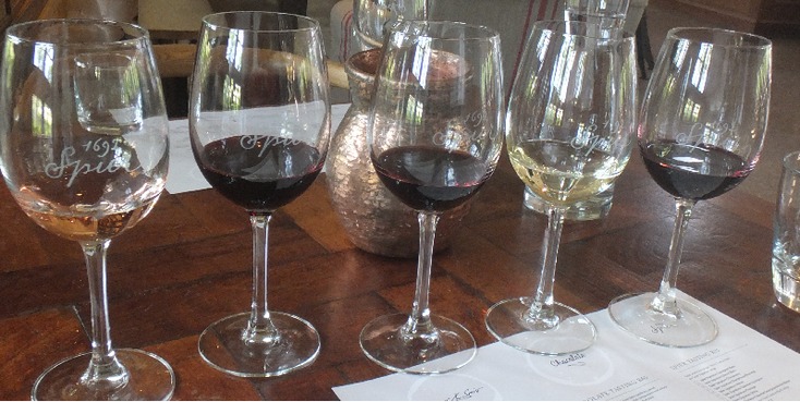 Spier-Tasting-Wine-Glass-Stellenbosch-Farm-South-Africa