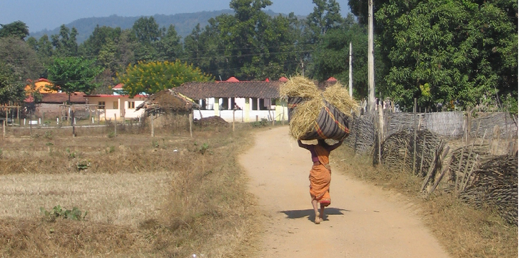 Kanha-nationaal-park-dorp-hooi-India