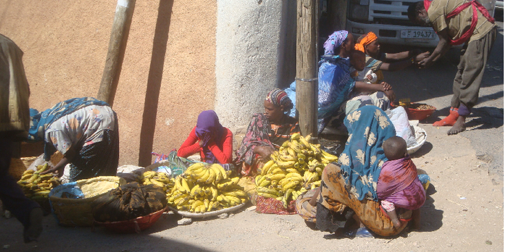 Harar-Ethiopië-moslim-islam-markt-bananen
