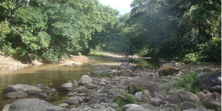 Amboro-nationaal-park-Bolivia-Buena-Vista-rivier-jungle