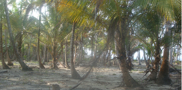 San-Blas-eiland-Panama