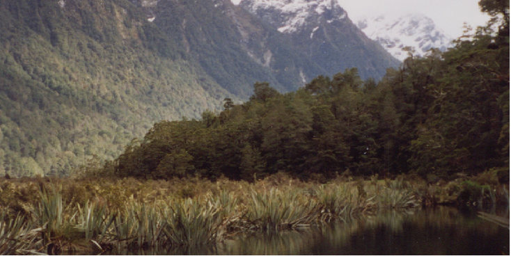 Milford-Sound-Nieuw-Zeeland