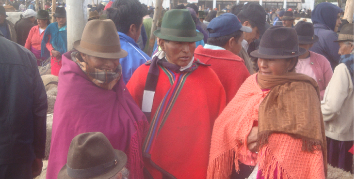 Saquilisi-markt-lama-schapen-beesten-koe-cowboy-hoedjes-Ecuador