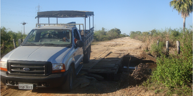 Pantanal-Jeep-Bridge-Swamp-Brazil-National-Park-Jungle