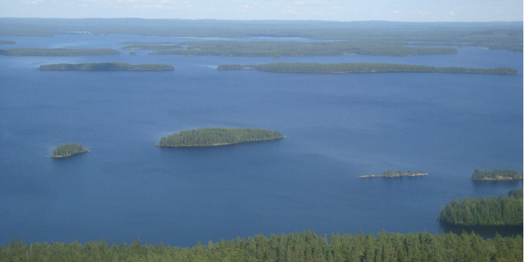 Koli-nationaal-park-Pielinenmeer-meren-eiland-bossen-Finland