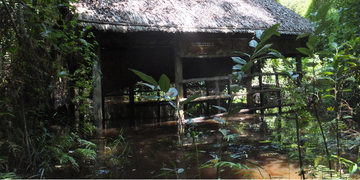 Rung-Tram-hoofdkwartier-Vietcong-verborgen-geheim-kano-kanalen-Vietnam-Mekong-Delta