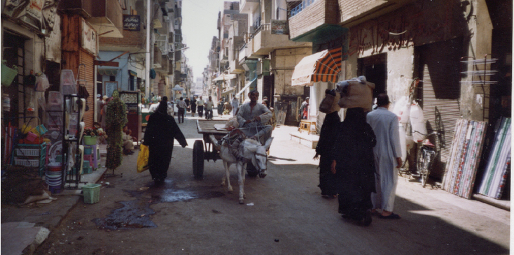 Luxor-Streetlife-Donkey-Egypt