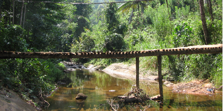 Kitulgala-brug-loopgbrug-jungle-bos-Sri-Lanka