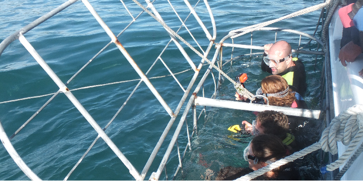 Shark-Cage-Diving-kooi-boot-Ventures-haai-duiken-kooi-Hermanus-Zuid-Afrika