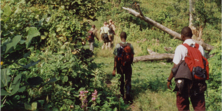 Bwindi-Nationaal-Park-berg-gorilla-Oeganda