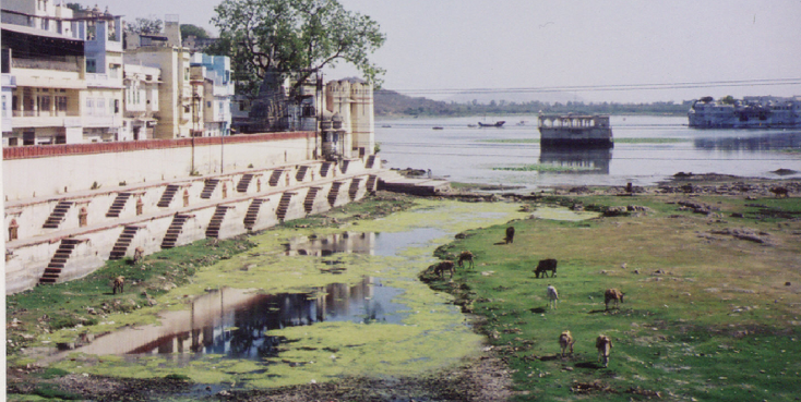 Udaipur-Rajasthan-meer-India