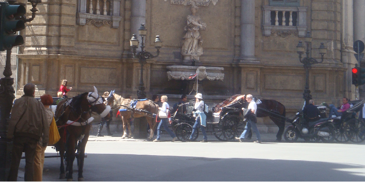 Palermo-koets-paard-Sicilië-Italië