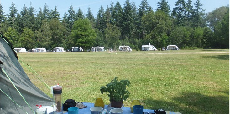 Jena-camping-Hummelo-grote-veld-tent-Nederland