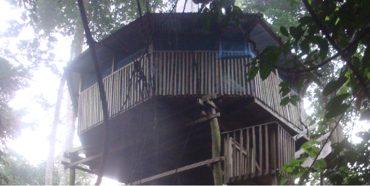 Kakum-nationaal-park-treehouse-sleeping-hostel-jungle-Ghana