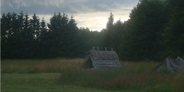 Altja-Lahemaa-nationaal-park-traditioneel-hut-Estland-hout-bos