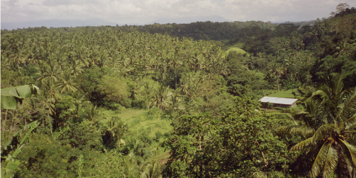 Bali-Tampaksiring-Gunung-Kawi-Indonesië-paraplu