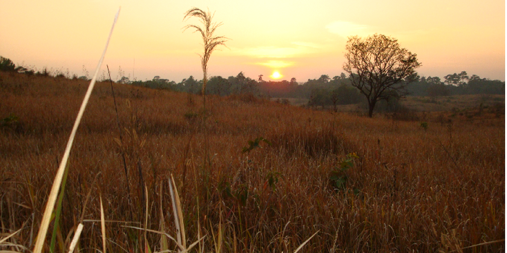 Khao-Yai-nationaal-park-natuurpark-Thailand-zonsondergang