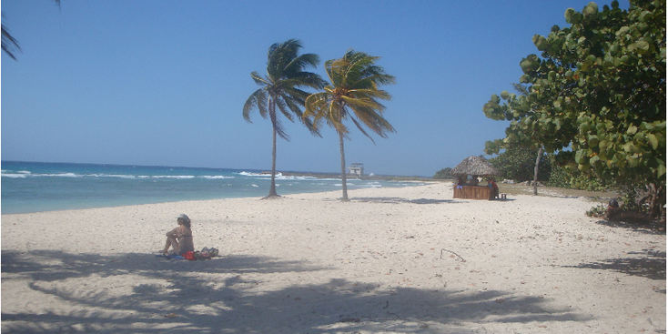 Playa-Giron-strand-varkensbaai-Bay-of-Pigs-Cuba-palmboom