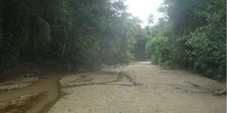 Tayrona-Nationaal-Park-Coast-Colombia-jungle-rivier