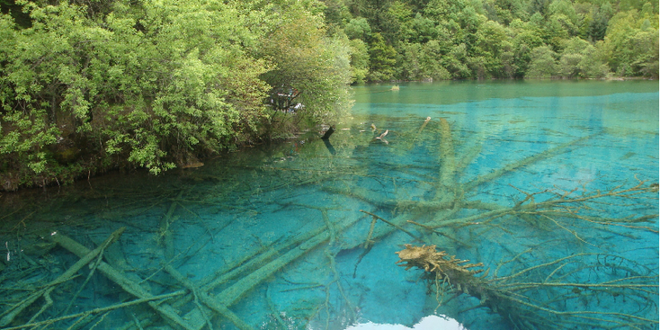 Jiuzhaigou-National-Park-Water-Minerals-Trees-Clear-China