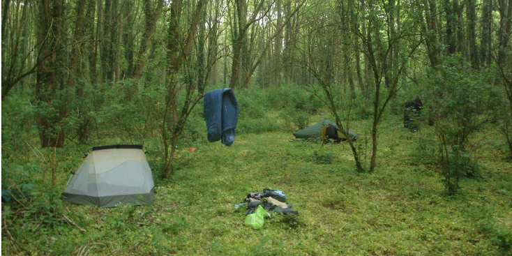 Addincourt-Arras-wildkamperen-tent-bos-park-herten-Frankrijk