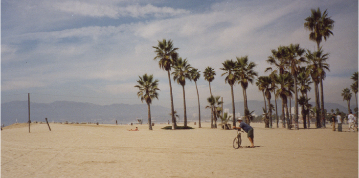 Venice-Beach-boulevard-stalletjes-palmbomen-strand-Los-Angeles-LA-Verenige-Staten