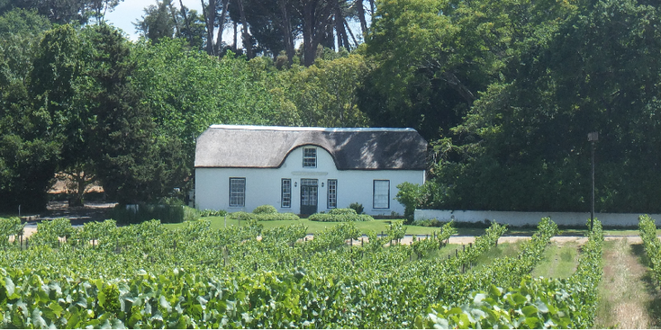Stellenbosch-boerderij-Zuid-Afrika-boeren-wijngaard-wijnhuizen-wijnboerderij