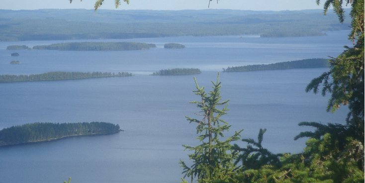 Koli-nationaal-park-meren-eiland-bossen-Finland