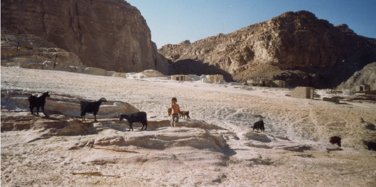 Ain-Hudra-bedoeïenen-rieten-hutje-tour-Nuweiba-Dahab-Sinaï-woestijn-Egypte