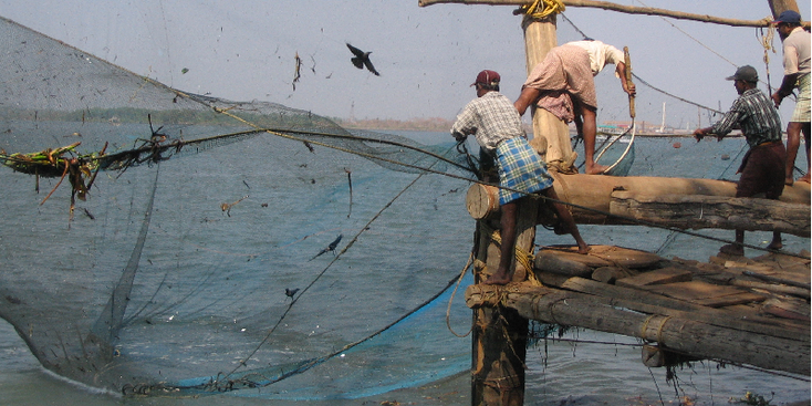 Kochi-Chinese-net-vis-visser-India
