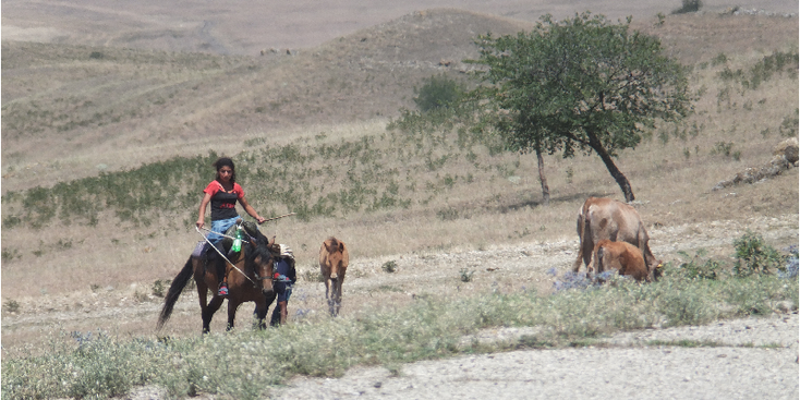Kakheti-Shepherd-Udabno-Georgia