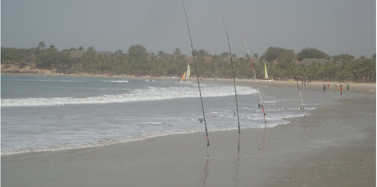 Cap-Skiring-strand-hengel-vis-Senegal