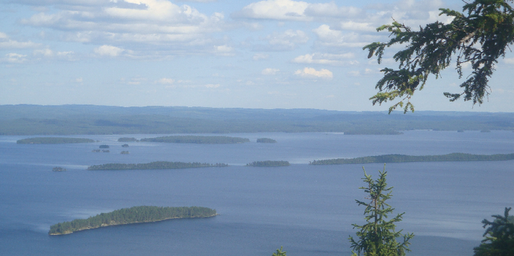Koli-nationaal-park-Pielinenmeer-Ukko-Koli-meren-eiland-bossen-Finland
