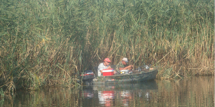 Donau-Delta-rivier-Crisan-rivier-kanalen-meren-Roemenië-vis-vangen-vissers-boot