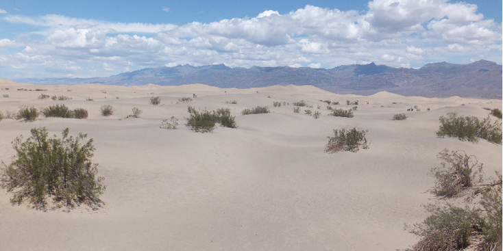 Mesquite-Flat-Sand-Dune-Death-Valley-woestijn-zand-Californië-Verenigde-Staten