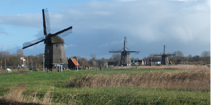 Molenkade-molens-Alkmaar-Nederland-weiland