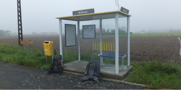 Vlamertinge-Brandhoek-bushalte-Meidoorn-België