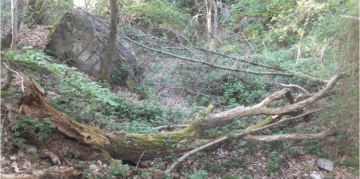 Felsennest-Rodert-hoofdkwartier-Hitler-ruïne-opgeblazen-rotsen-puin-bos-Duitsland