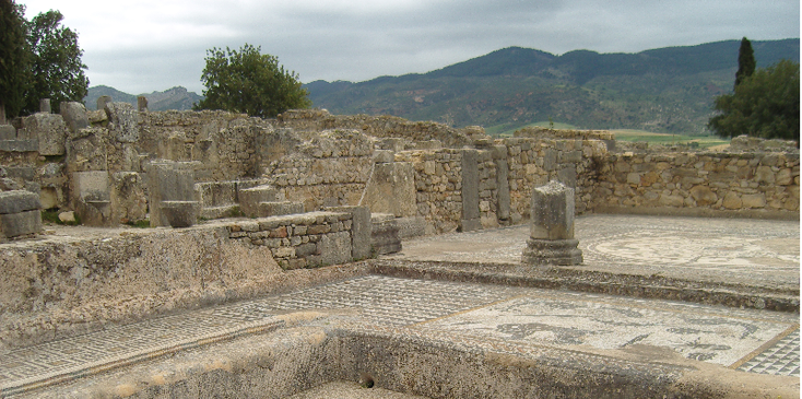Volubilis-Romeins-Ruïne-mozaïek-pilaren-columns-Marokko