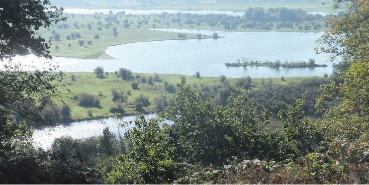 On-Nederlands uitzicht vanaf de Grebbeberg op de Nederrijn