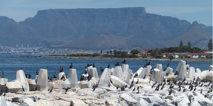 Robbeneiland-Nelson-Mandela-Kaapstad-gevangenis-eiland-Zuid-Afrika