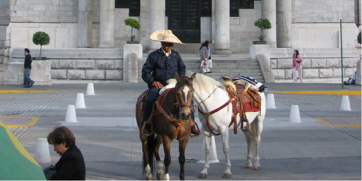 Mexico-stad-politie-te-paard